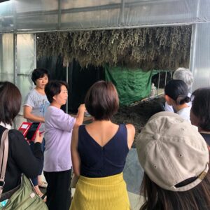 獅子足よもぎ工場見学